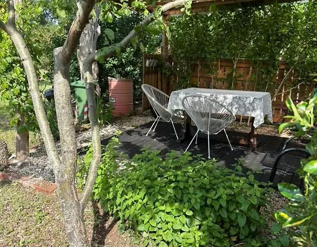 Anastazija * Ρόβινι